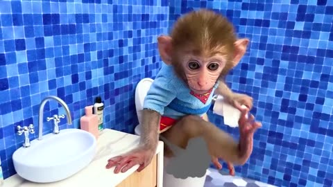 Monkey Baby Bon Bon Buy Toilet Paper