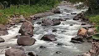 WATER River located in East Java (Jember City)