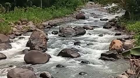 WATER River located in East Java (Jember City)