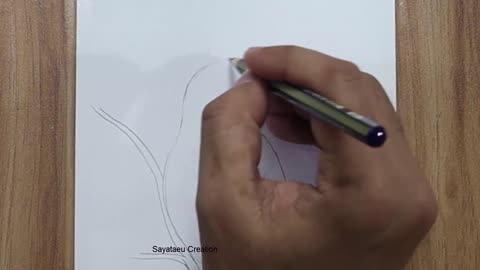 How to draw a Bird Scenery with pencil step by step, Pencil Drawing for beginners