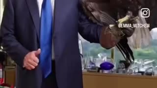 PRESIDENT TRUMP AND THE BALD EAGLE