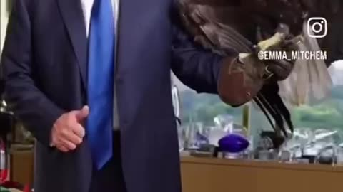 PRESIDENT TRUMP AND THE BALD EAGLE