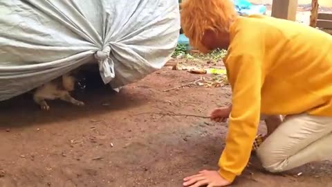 Fake Chucky Prank & Chucky Prank to dog - Troll Funny Prank dog by