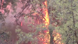 Flames fill the sky as Turkey's wildfires rage on