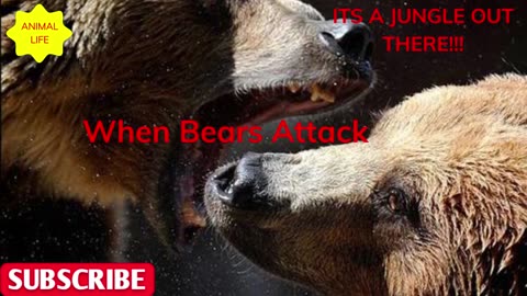 "Intense Encounters: Bears on the Attack - Real-Life Stories and Survival Tips"