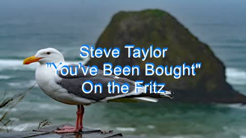 Steve Taylor - You've Been Bought #77