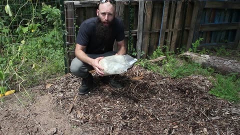 Mushrooms: Plant Something Different- Outdoor Grow