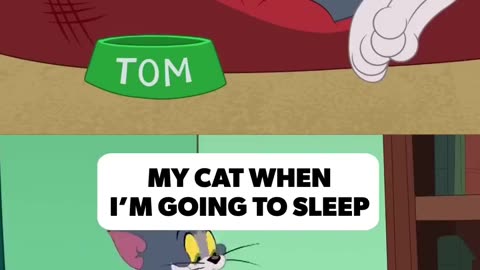 Tom and Jerry # funny clip # shorts