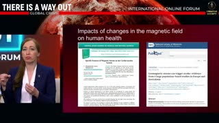 Possible consequences of the Earth's magnetic field changes