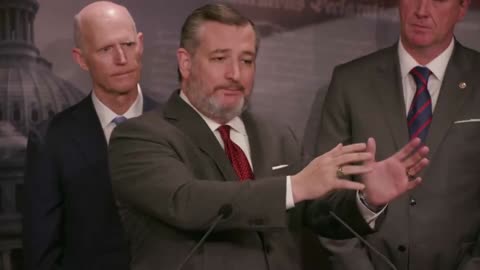 Ted Cruz Destroys Senate Border Bill: 'If You Think This Bill Is Bad I Promise It's Worse'