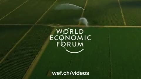 World Economic Forum on Food Shortages because of war in Ukraine