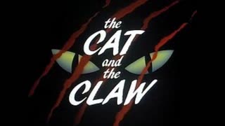 Batman The Animated Series | The Cat and the Claw Part 1 & 2 Review