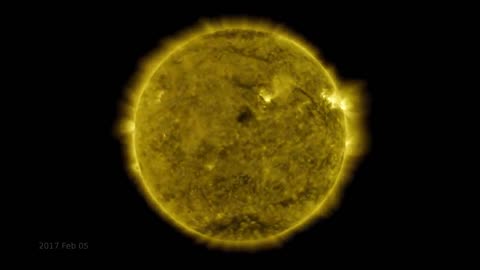 A Decade of Sun: Unveiling a Ten-Year Solar Odyssey