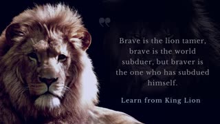 Learn Lion Attitude Motivational speech - Best Quotes