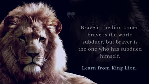 Learn Lion Attitude Motivational speech - Best Quotes