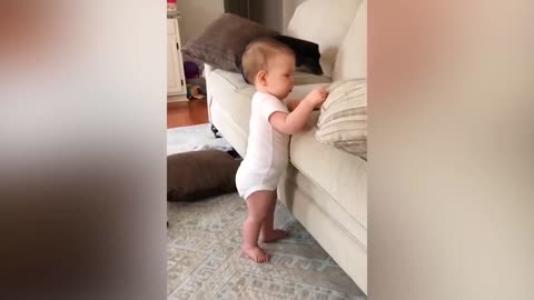 Funny Babies Playing With Dogs - Baby and Pet Videos