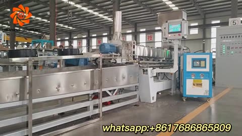 Fortified FRK Artificial Rice Extruder Machine Line Equipment Chenyang
