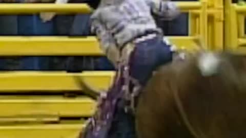 Marty Staneart owned the 1993 NFR.