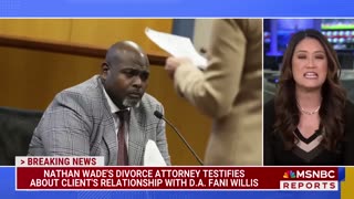 Fani - MSNBC Breaking Down Bradley's Testimony