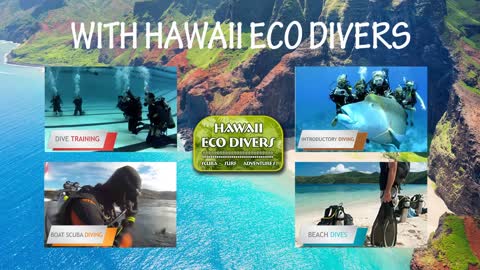 Experience Scuba Diving in Hawaii