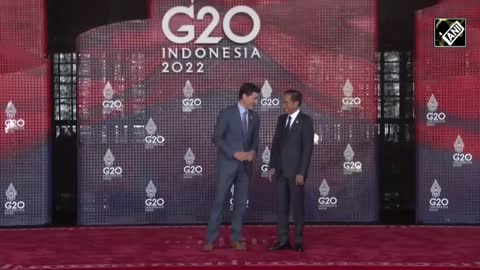 World leaders have arrived in Bali, G20 Summit kicks off