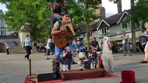 Ecuadorian Otavalo Imbabura One Man Band Busker Puppet pan flute music, real talent despacito MUSIC