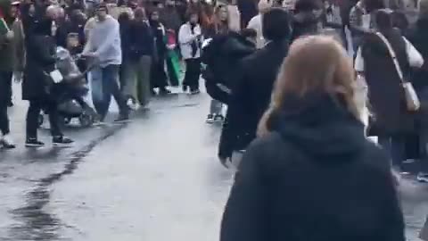 Trans BLM LGBTQ flag torn down and stolent at rally for palesine