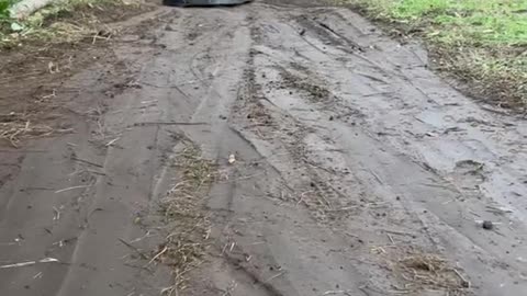 When they say "those tires will never work in the dirt"