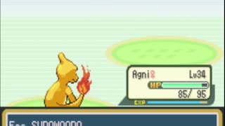 Kanto Complete - Shiny Fire Monotype, Episode 6: A Raging Inferno