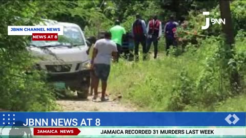 local news ( Jamaica)