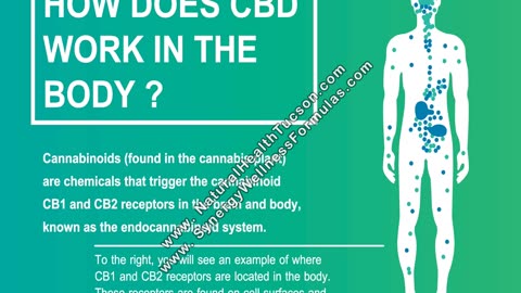The CBD Research you Didn't Know About!