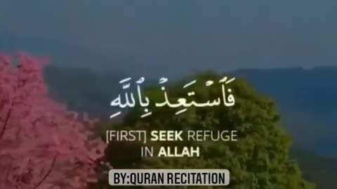 Quran Verses || Beautiful Quran Recitation || #quranrecitation #quranicvers #islam #quran #shorts