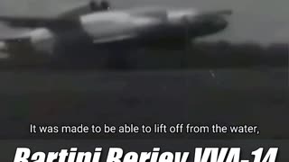 Bartini Beriev VVA-14