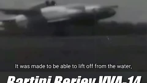 Bartini Beriev VVA-14