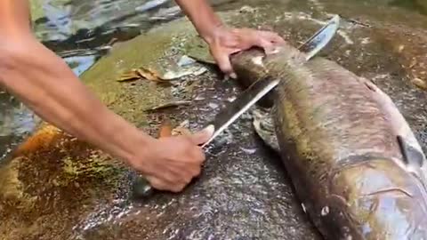 FISHING AND COOK (BRAZIL)