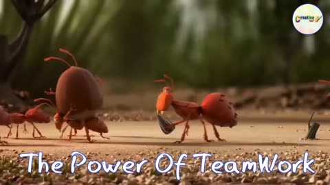 Teamwork and leadership