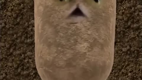 potato face swap gone wild