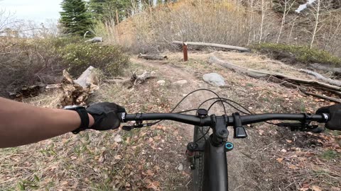 [MTB] Ash Canyon (Carson City, NV) DH via Creek Trail [ run #2]