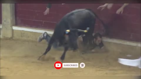 The Funniest Bullfighters in the World || Most awesome bullfighting festival || Try not to #laugh