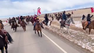 HUNDREDS Of Freedom Cowboys Arrive At Coutts Trucker/Farmer Blockade