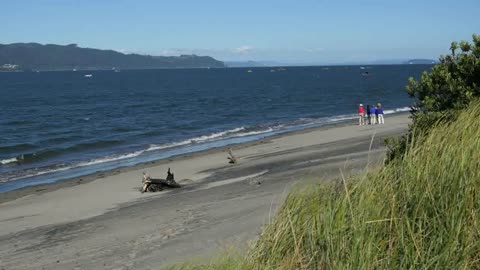 Oregon Columbia River Beach With Grass