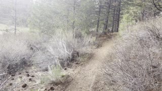 When the Freak Hail Storm Starts – Deschutes River Trail – Central Oregon – 4K