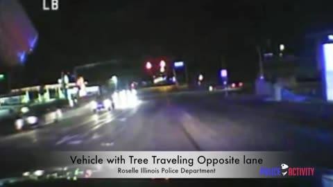 Dashcam Video Shows Woman Driving With Tree Stuck In Her Car