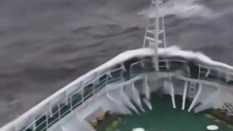 Watch til the End, Cruise Ship Diaster #shorts #trending #viral #feed #foryou