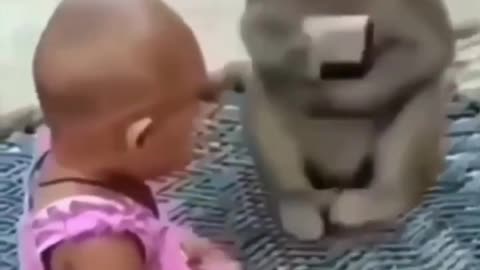 Baby Making fun with monkey 🐒 😂😂