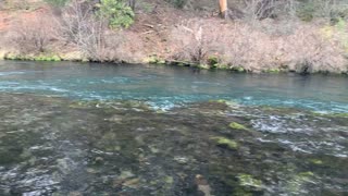 Hiking Metolius River – Central Oregon