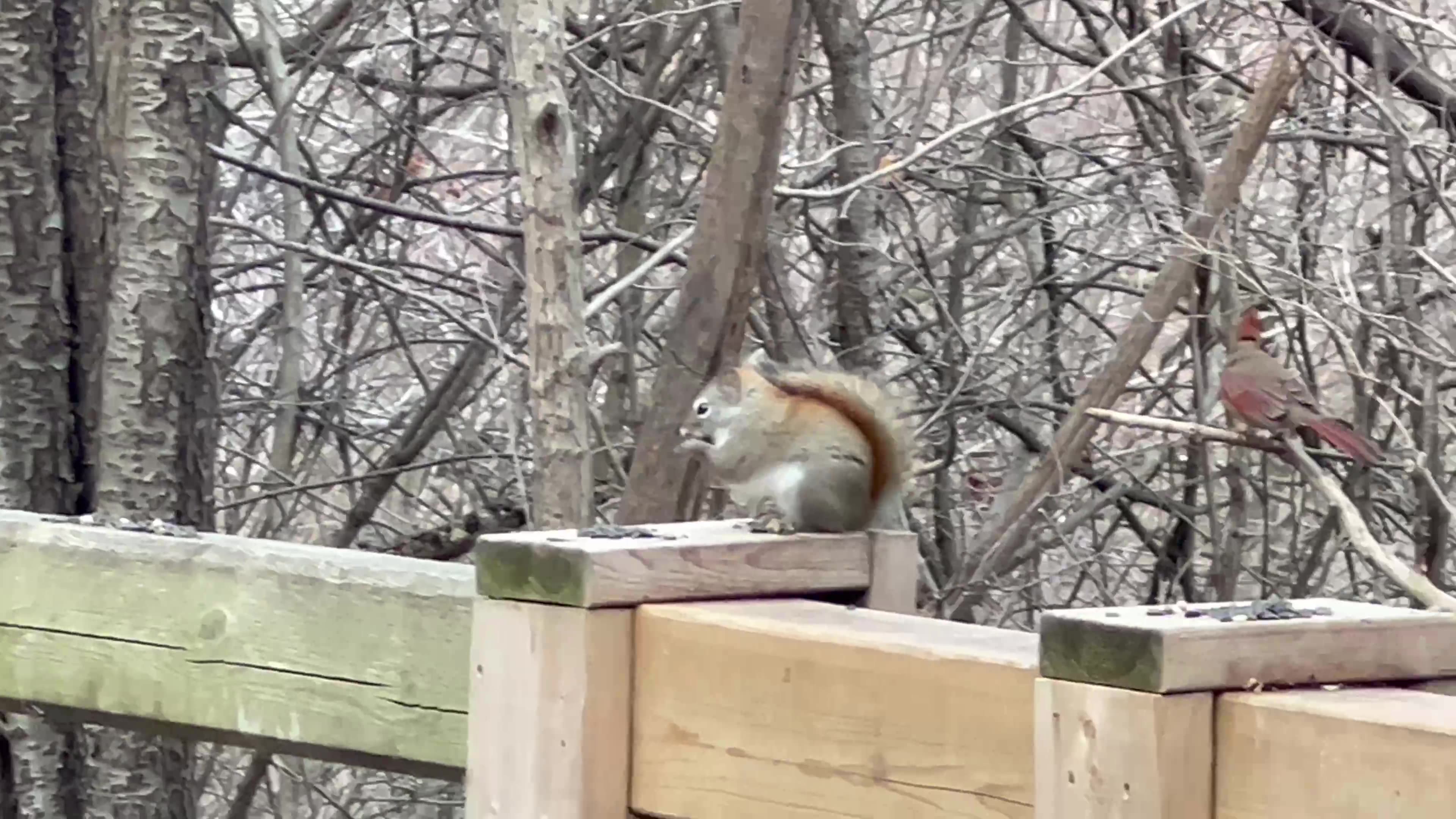 A little bit of everything 😊🙏👍