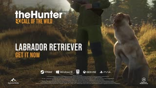 TheHunter_ Call of the Wild - Official Labrador Retriever DLC Launch Trailer