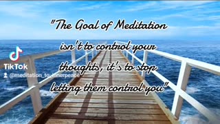 "The Goal of Meditation isn't to control your thoughts, it's to stop letting them Control you"