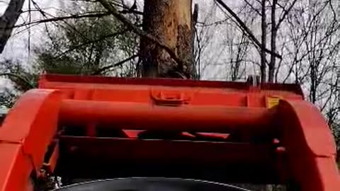 Cutting Tree Down With The Help of a TractorPart 1